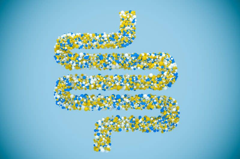 National Colorectal Cancer Awareness Month, illustration of bacteria inside large intestine