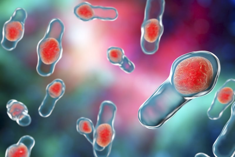 clostridium difficile bacteria is often a reason IBD patients are prescribed an antibiotic